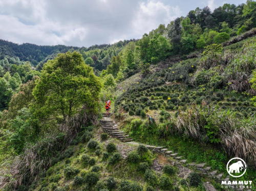 烟雨中的黑瓦白墙，MAMMUT黄山徽州古城百公里越野赛第11张